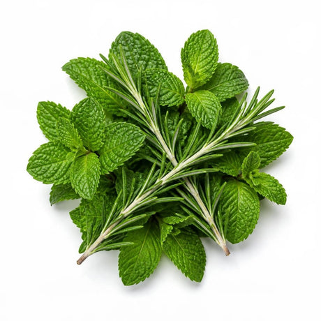 Peppermint · Rosemary