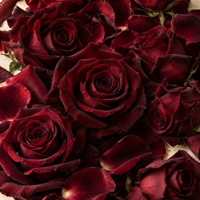 Black Rose