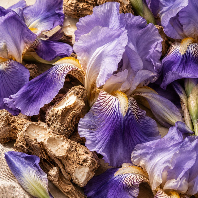 Iris