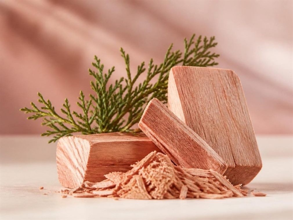 Cedarwood blocks and shavings