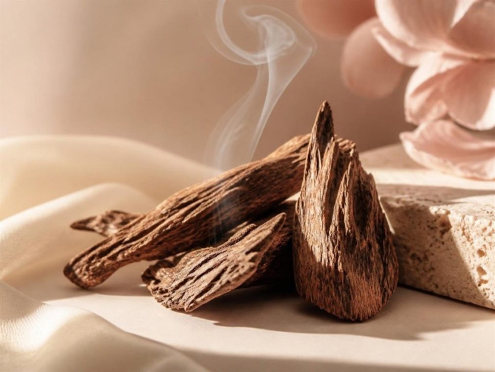 Oud agarwood chips