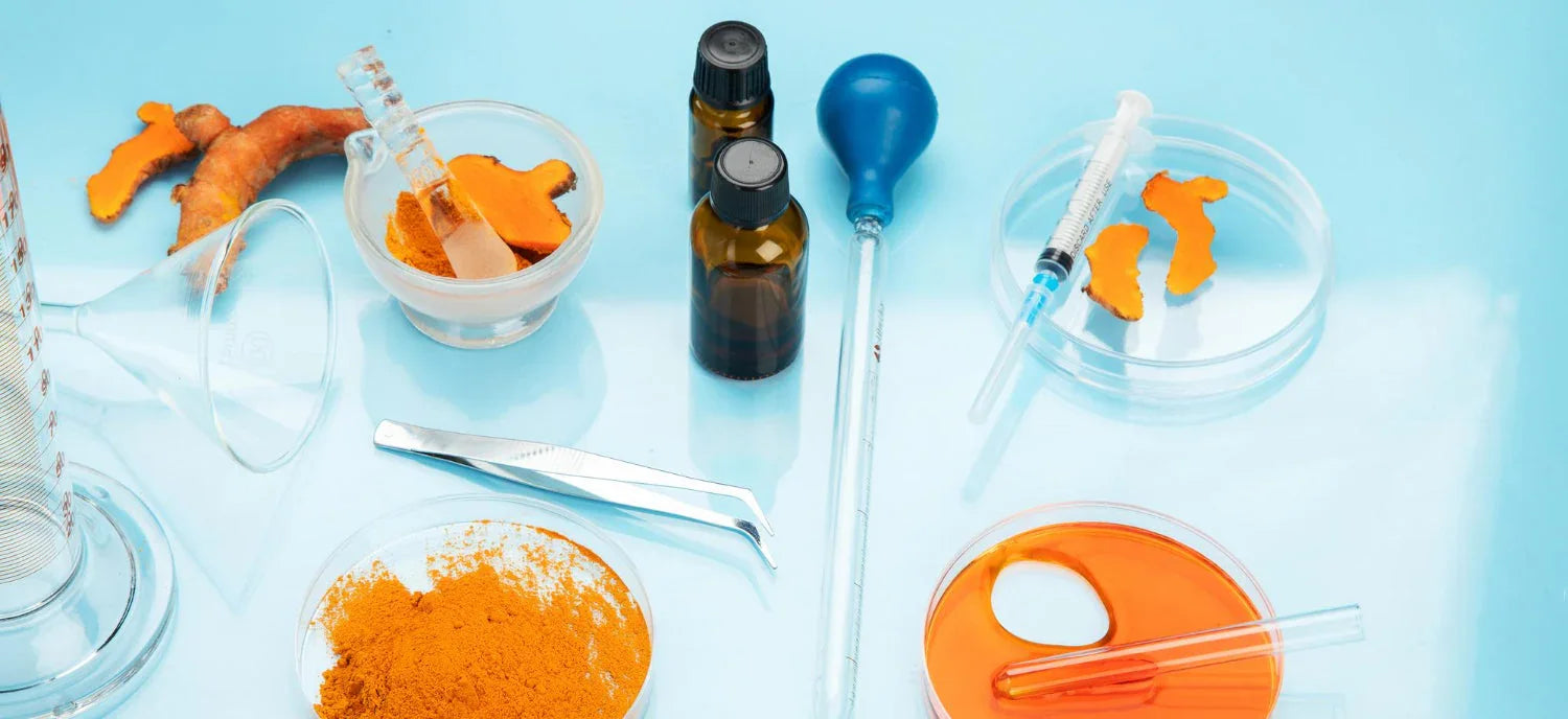 Turmeric root and powder with lab equipment, beakers, petri dishes, syringes, blue background