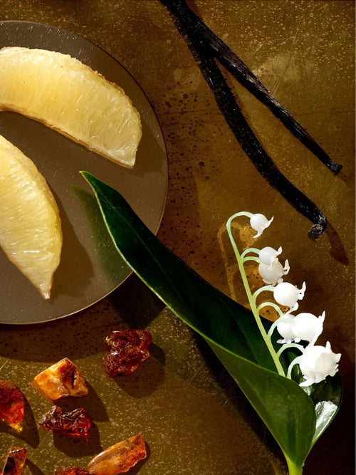 The Perfect Ingredients for a Cozy Autumn: Amber, Vanilla & Jasmine