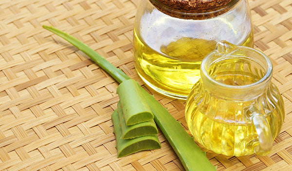 The Love Co - Aloe Vera For Hair Growth: Everything You Need To Know