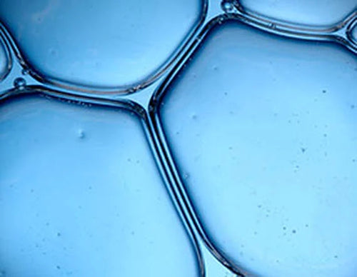 Ceramides: The Ultimate Skin Barrier Boosters in The Love Co’s Skincare