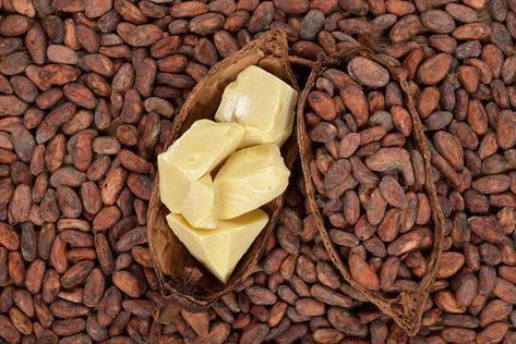Shea Butter Magic: Deep Nourishment in Every The Love Co Formula