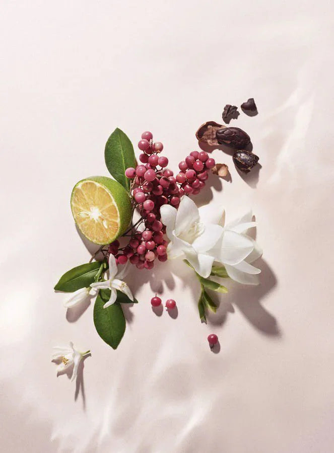 The Love Co - Fragrance Trends 2025: What's Shaping the Future of Scent