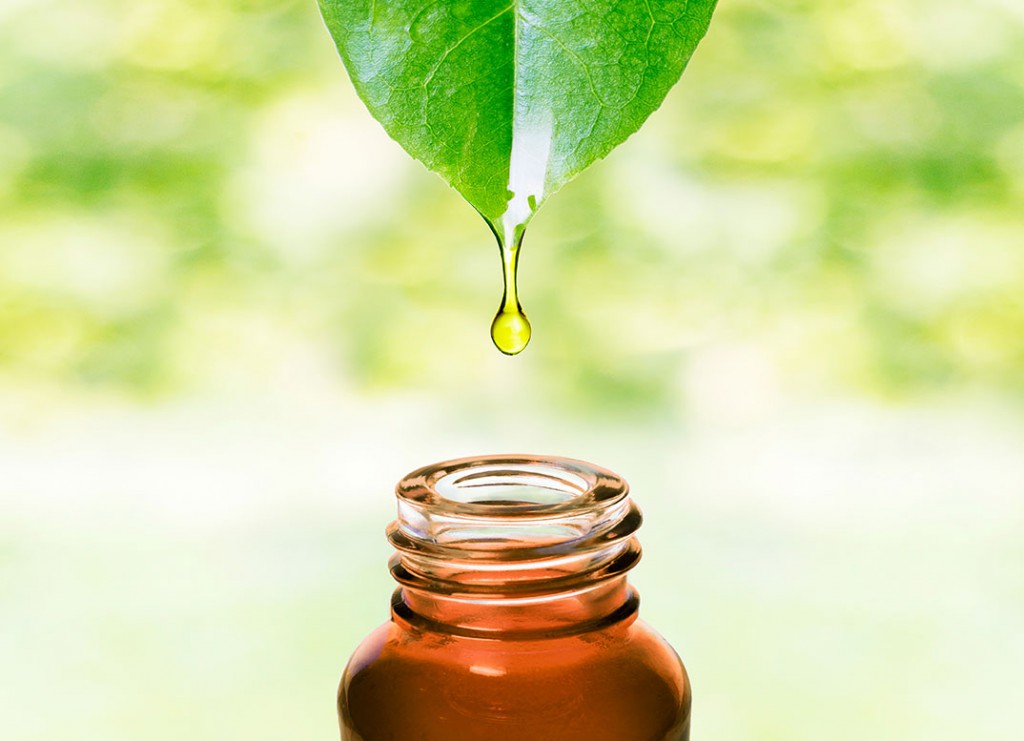 The Love Co - Unlock the Secrets of Tea Tree Oil: A Complete Guide