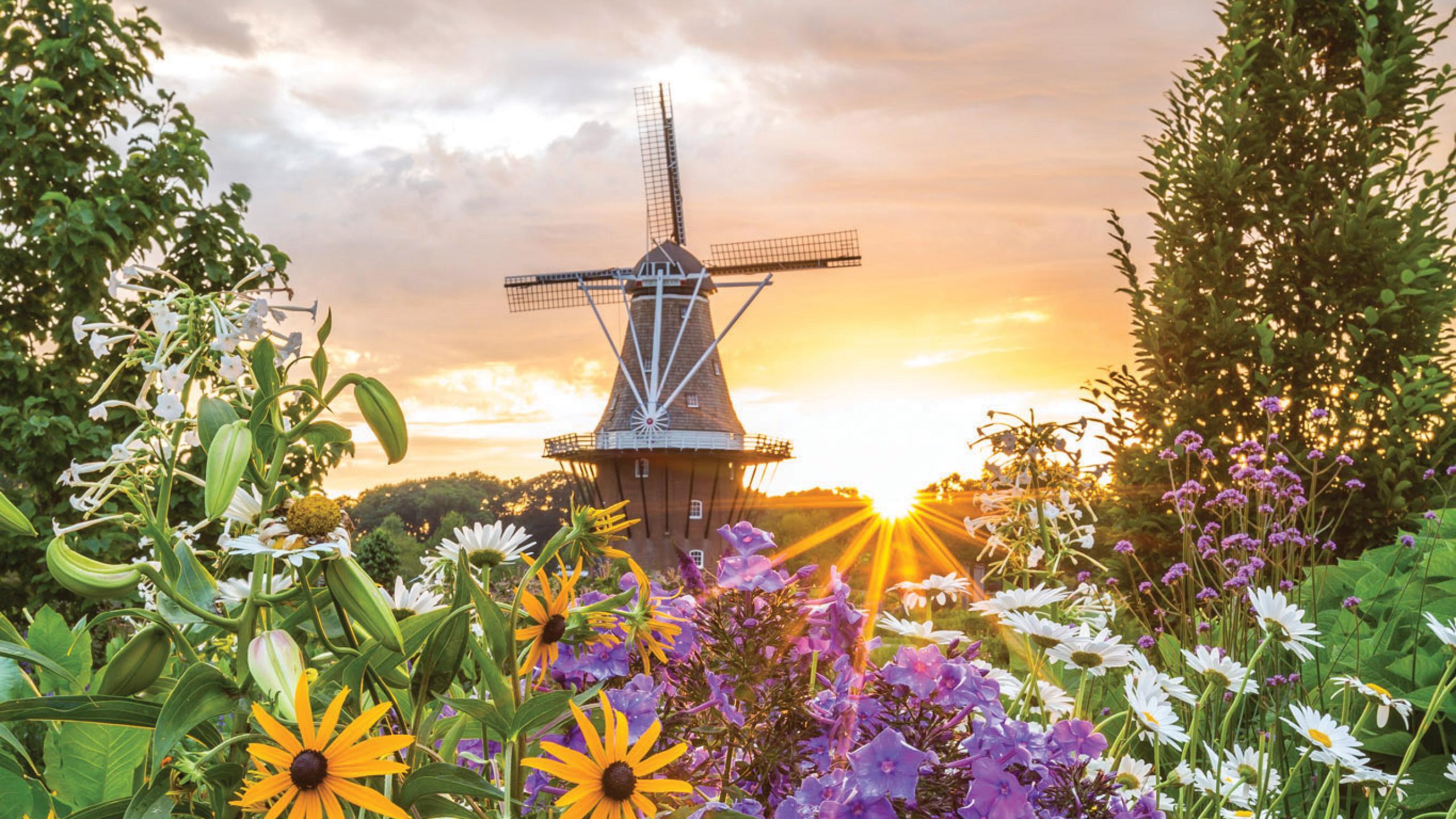 Holland: Dutch Heritage in Stunning Wilderness - The Love Co