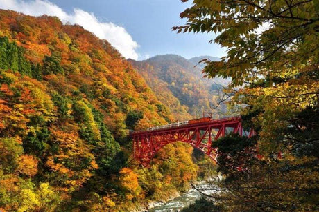 Kurobe Gorge in Toyama Prefecture: A Journey into Natural Splendor - The Love Co