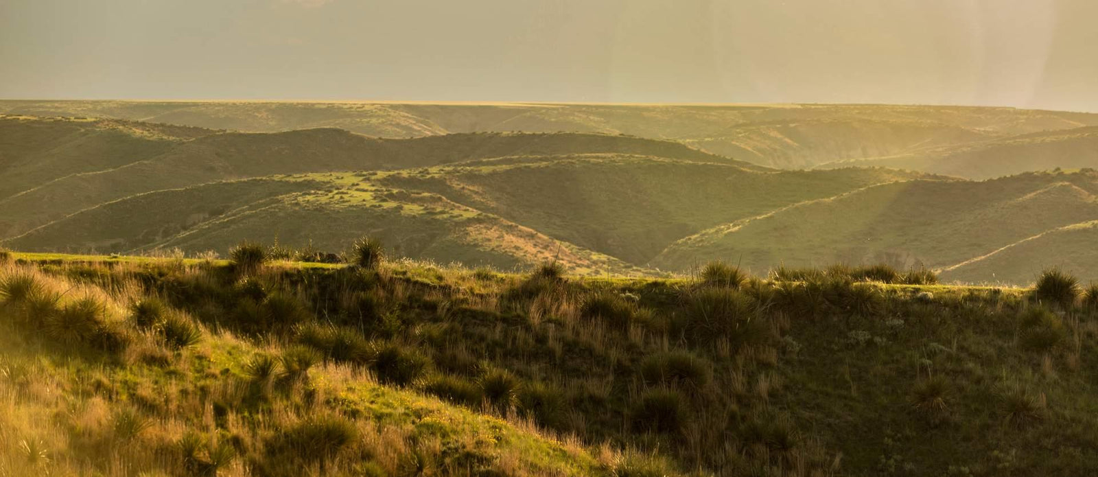 LAND & SKY Scenic Byway: Exploring Kansas' Natural Beauty and Agriculture - The Love Co