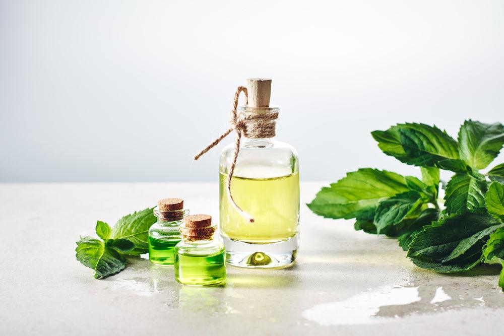 Peppermint Essential Oil: Benefits and Uses Guide - The Love Co