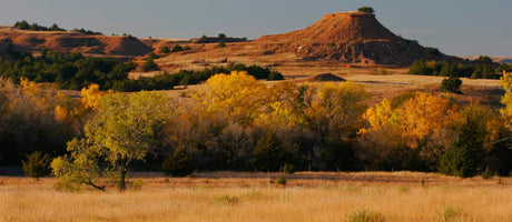 THE GYPSUM HILLS: A Southwest Oasis Beckoning Adventure - The Love Co