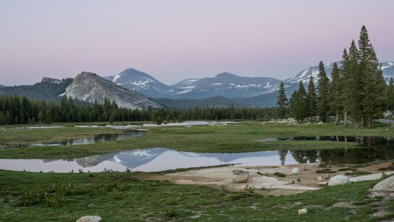 Trail-Happy in Tuolumne Meadows - The Love Co