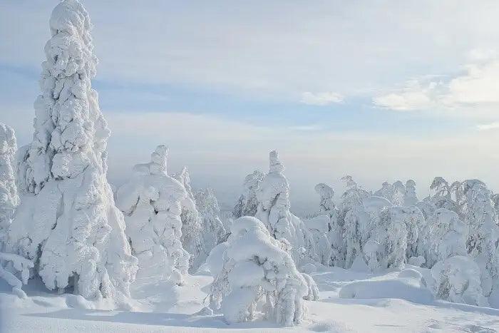 Unlocking the Enchanting Beauty of November in Russia: A Snowy Affair - The Love Co