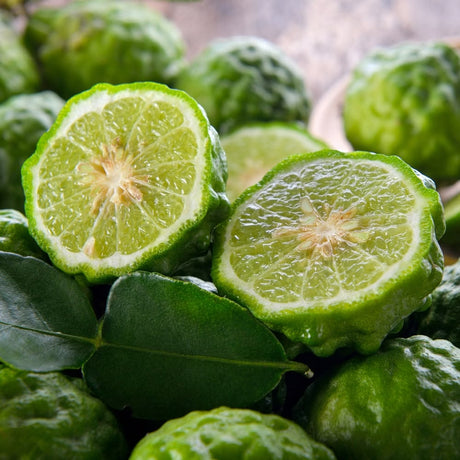 Geranium · Bergamot