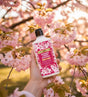 Hand holding The Love Co Japanese Cherry Blossom body lotion with cherry blossoms in background