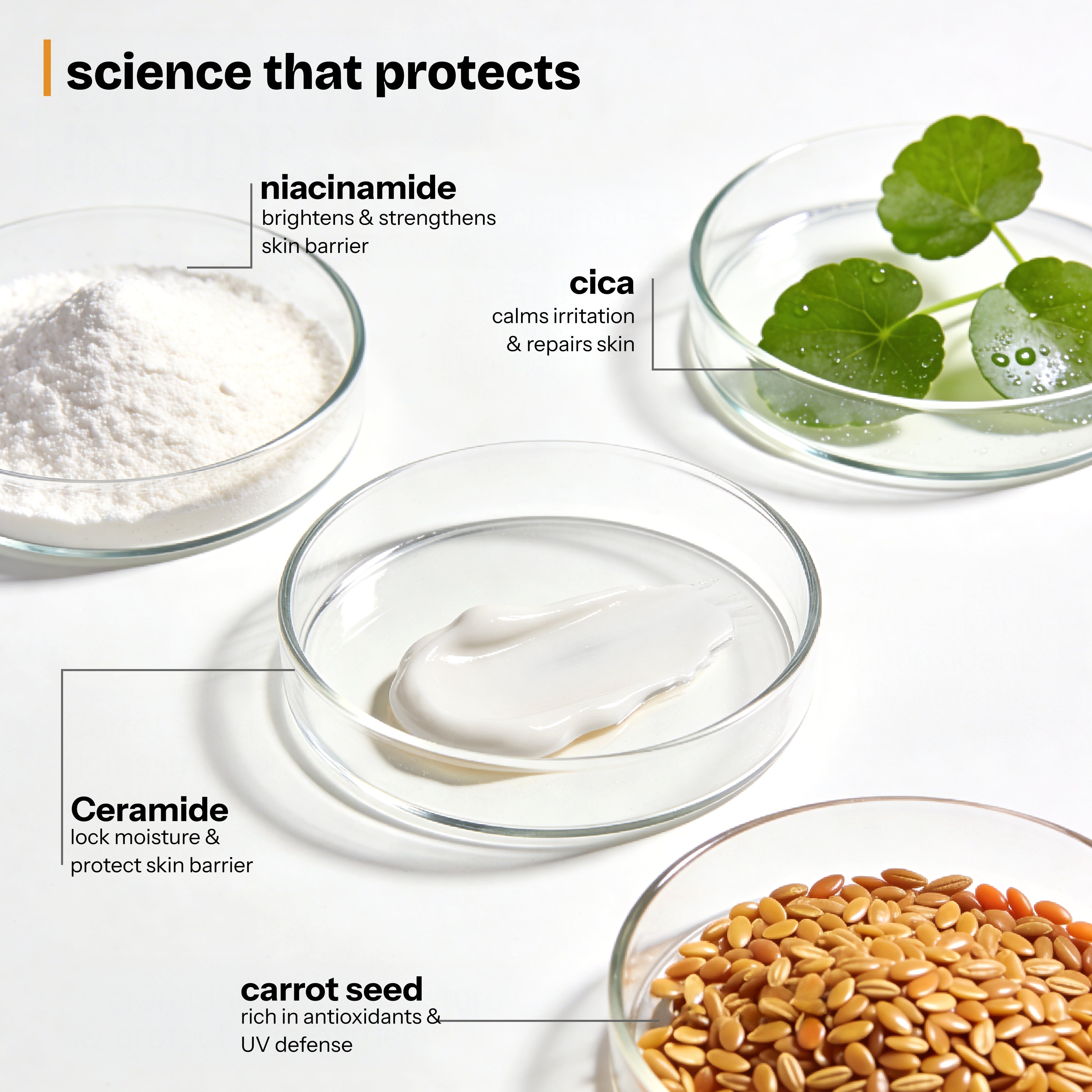Daily Dose SPF 50 Body Lotion — ingredients and key actives panel