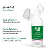 Good Vibes Aloe Vera Foaming Face Wash - The Love Co