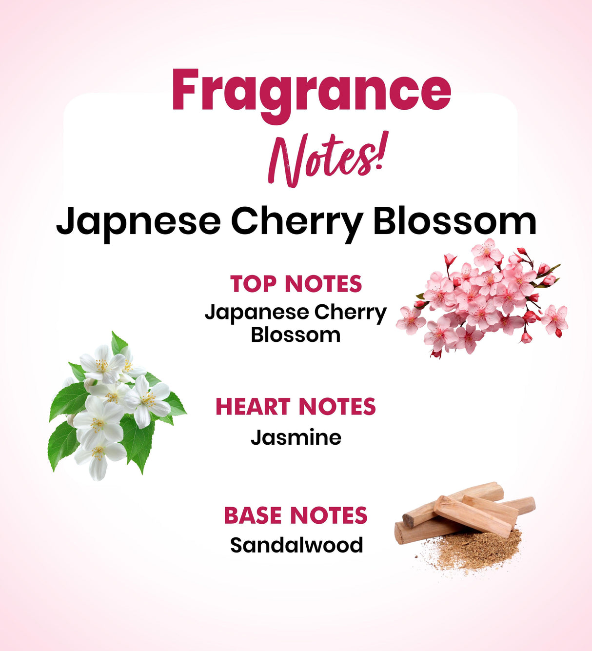 Japanese Cherry Blossom Body Mist - The Love Co