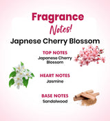 Japanese Cherry Blossom Body Mist - The Love Co