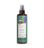 Padvrishit Peppermint Foot Spray - The Love Co