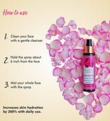 Rose Water Toner - The Love Co