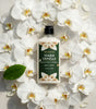 The Love Co Warm Vanilla body lotion with shea butter on white orchid flowers