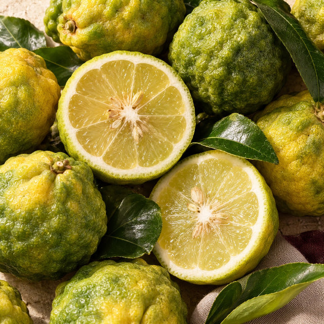 Bergamot