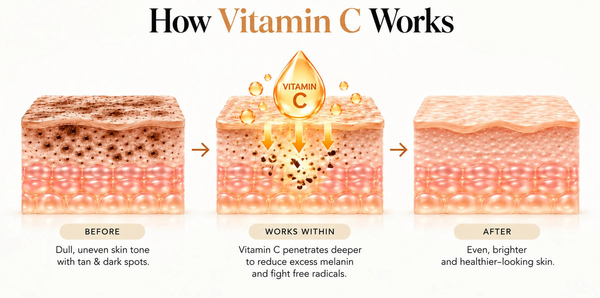 How Vitamin C works