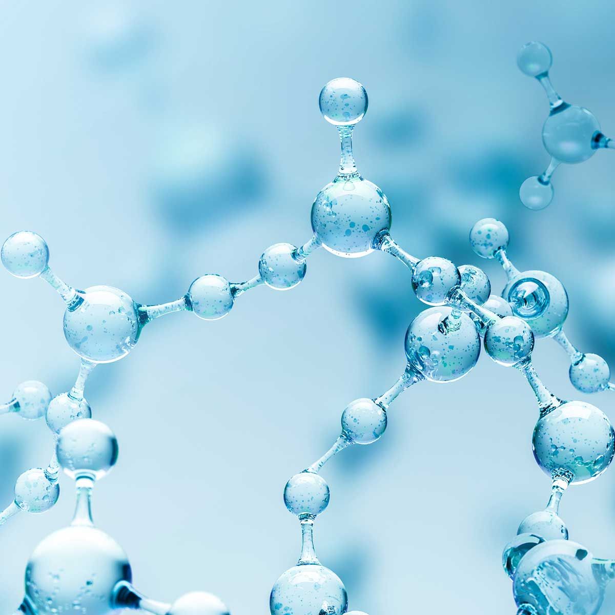 Ceramides